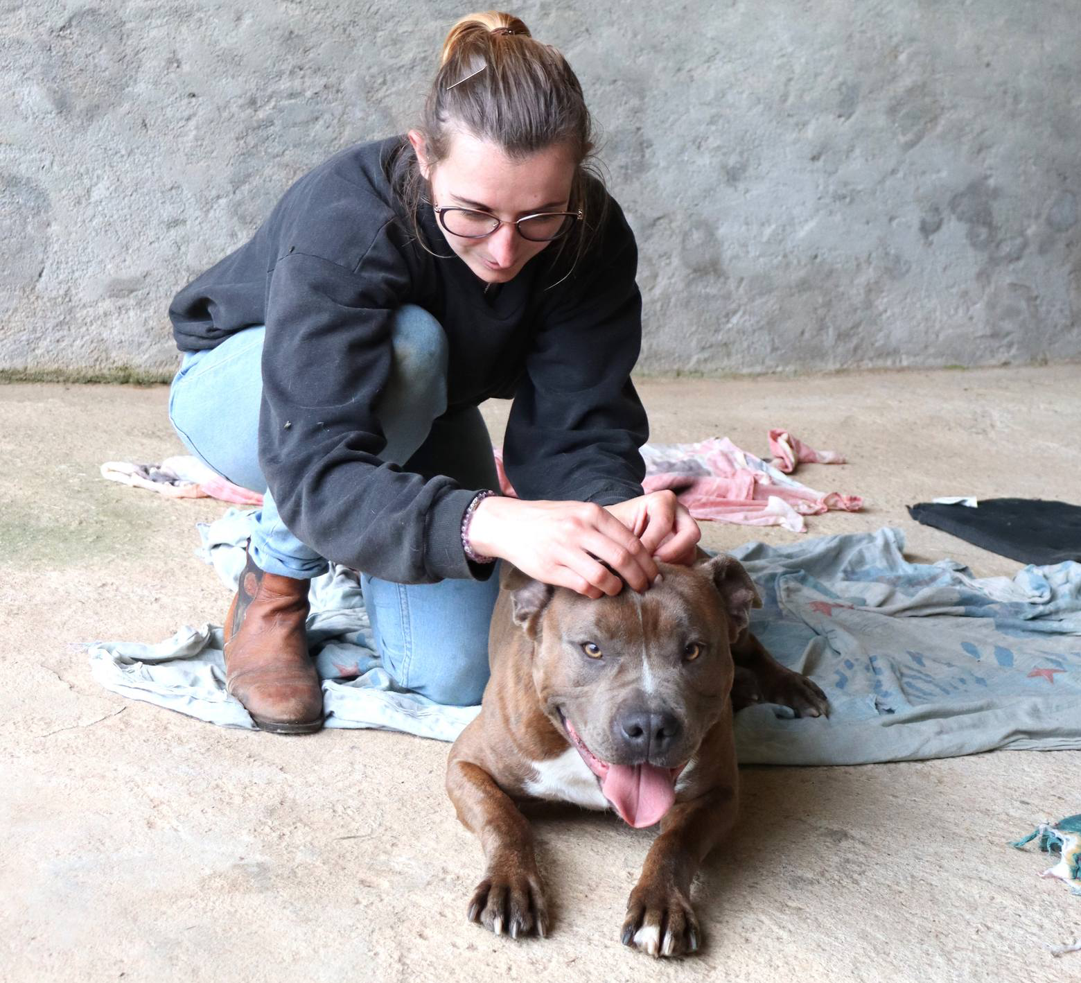 Ostéopathe Animaux Dordogne