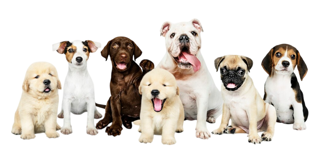 Ève Danaé Saint Eulalie d'ans