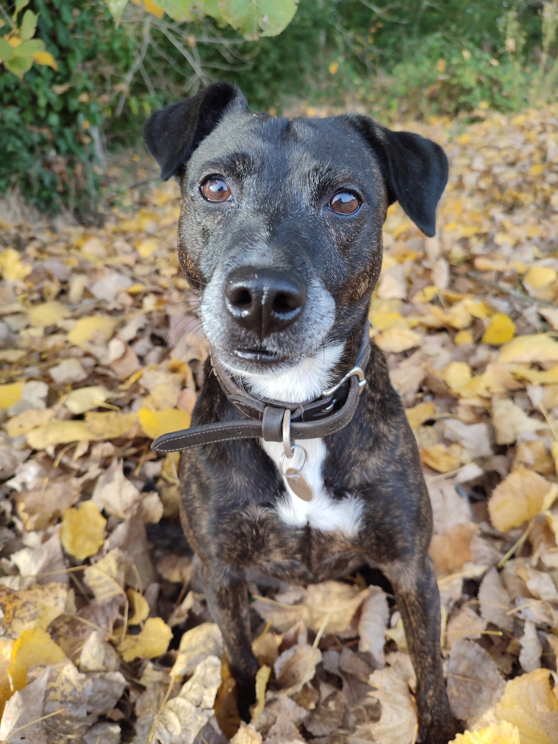 Ève Danaé Saint Eulalie d'ans