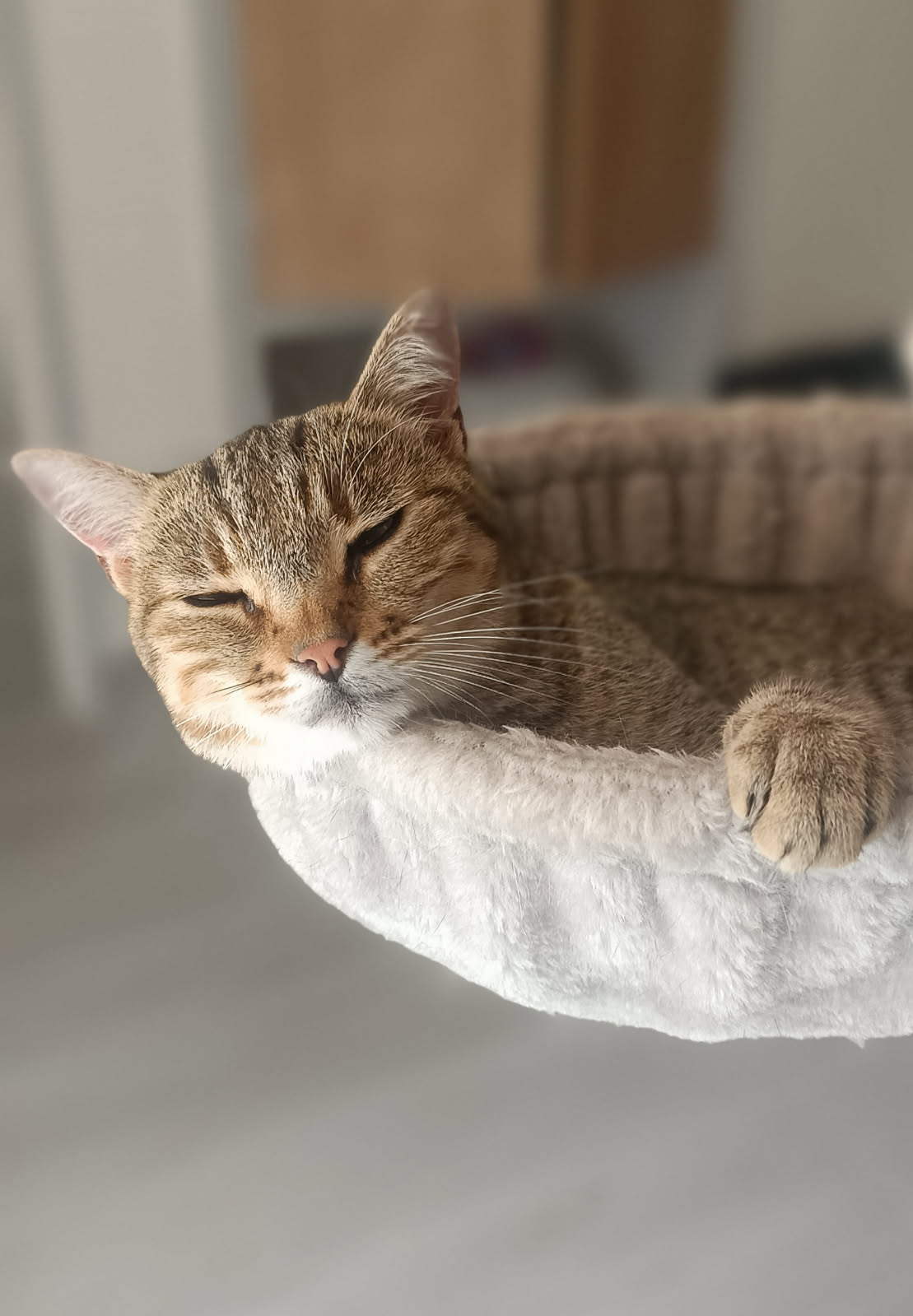 Ève Danaé Saint Eulalie d'ans