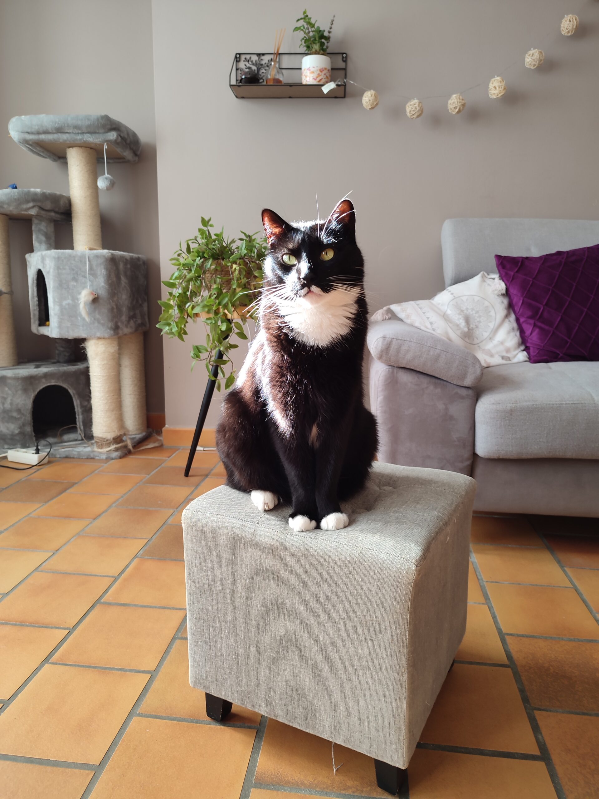 Ève Danaé Saint Eulalie d'ans