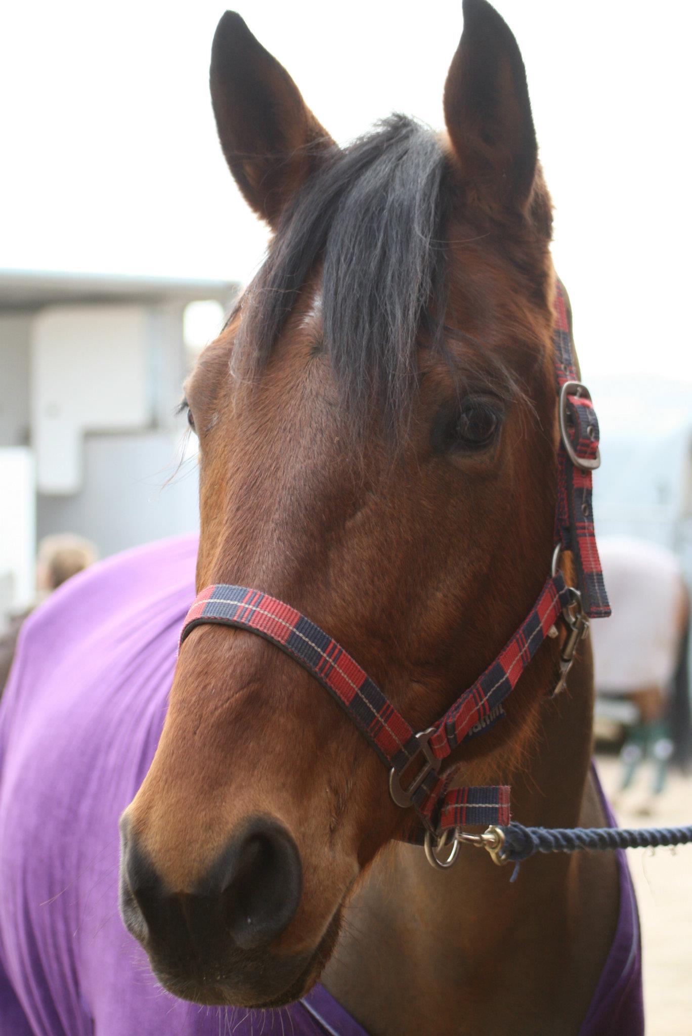 Ève Danaé Saint Eulalie d'ans