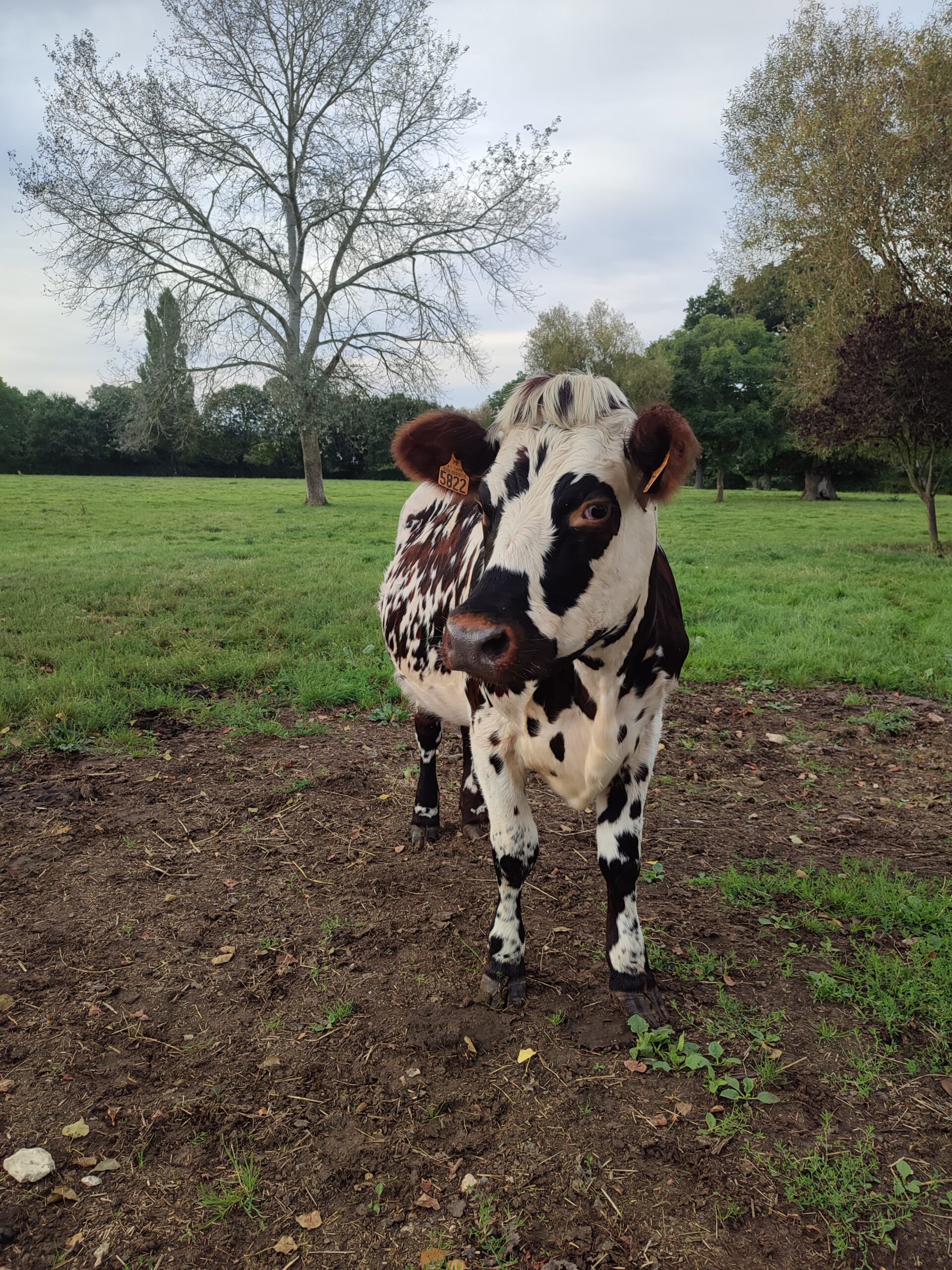 Ève Danaé Saint Eulalie d'ans