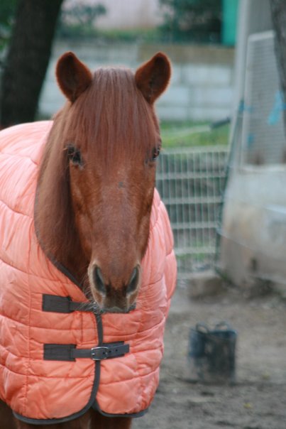 Ève Danaé Saint Eulalie d'ans