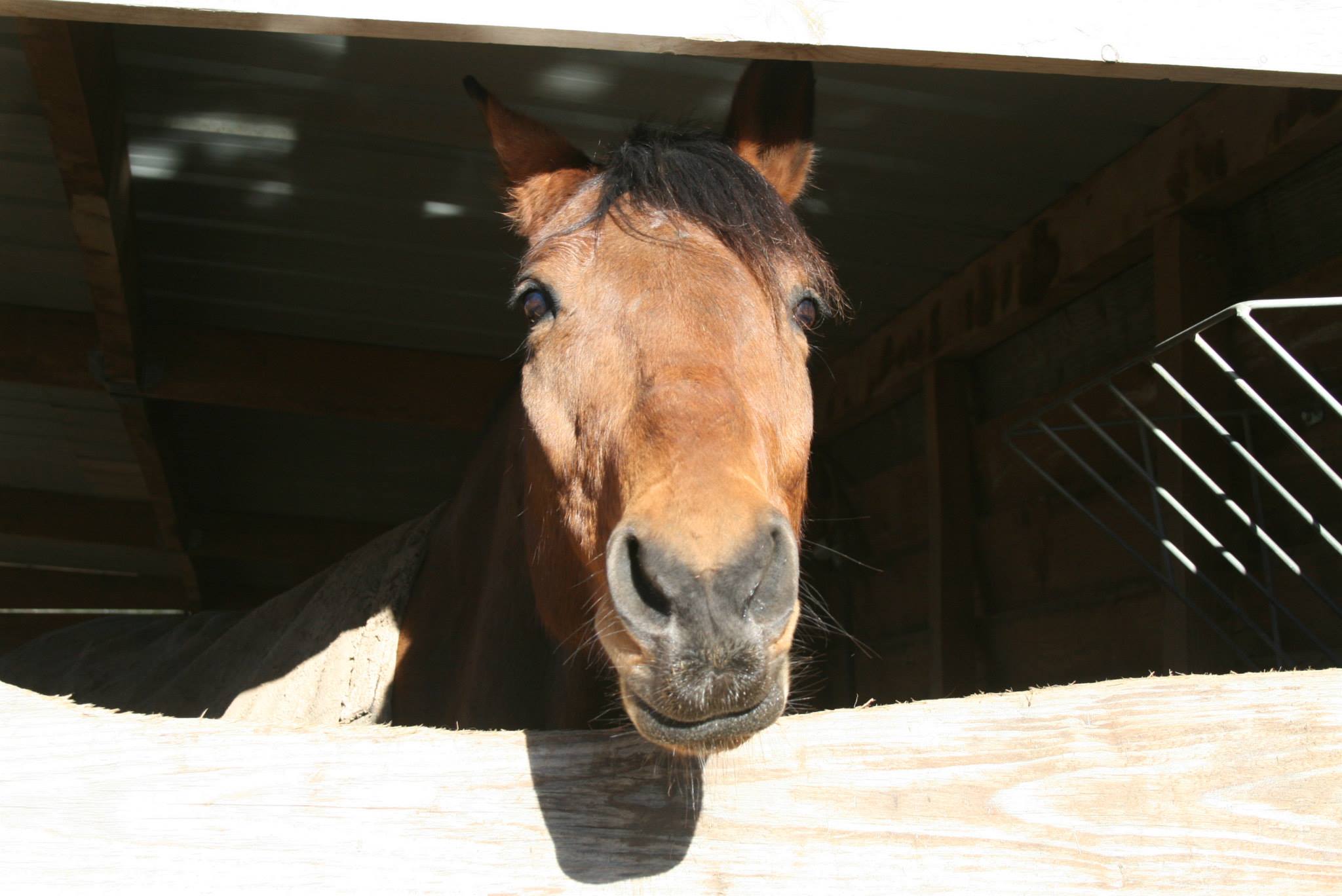 Ève Danaé Saint Eulalie d'ans