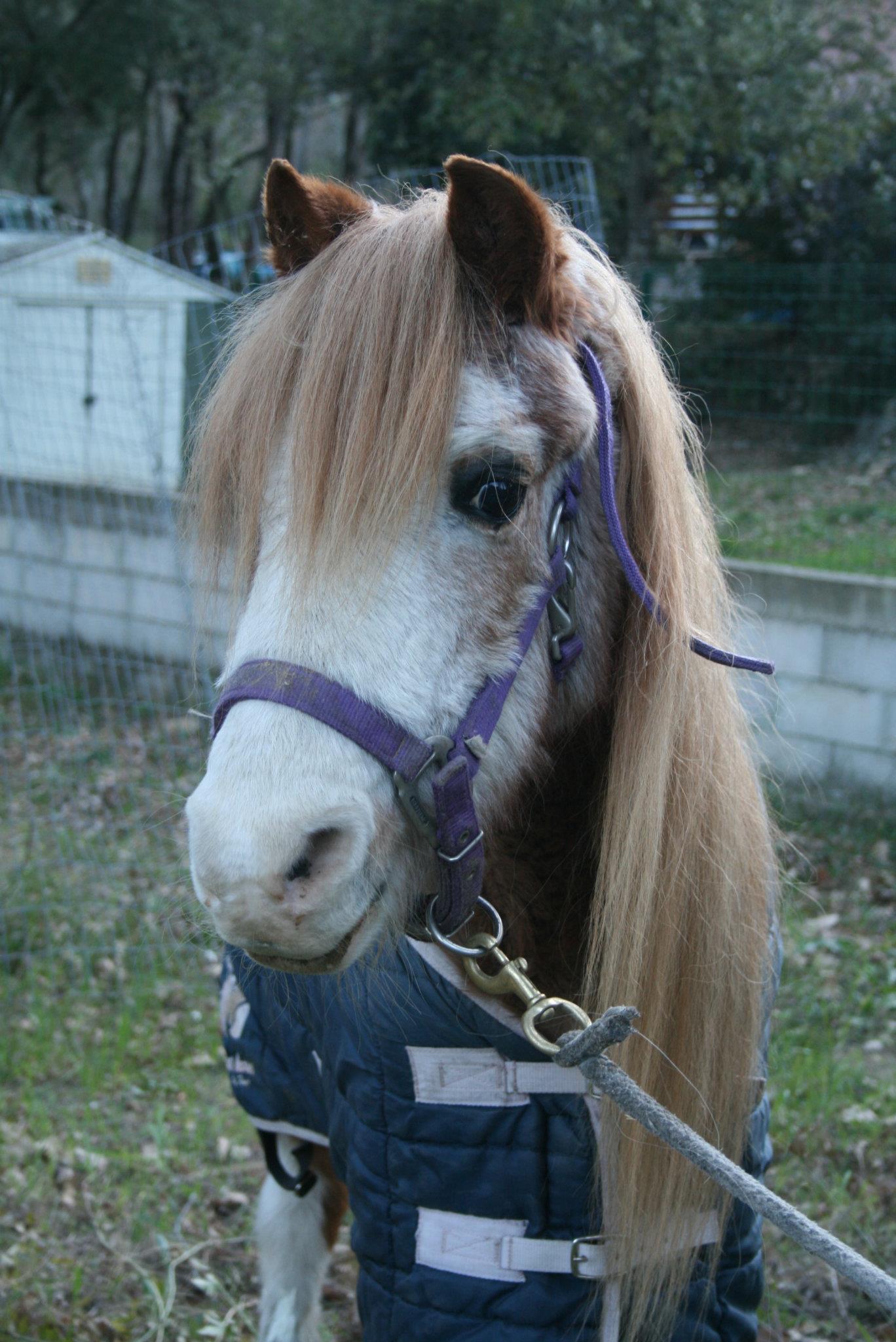 Ève Danaé Saint Eulalie d'ans