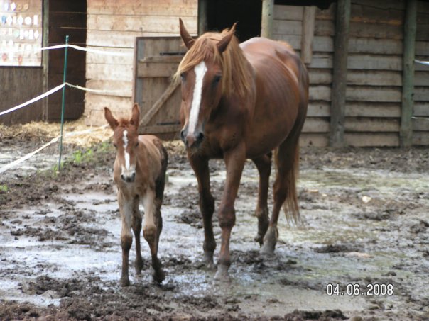 Ève Danaé Saint Eulalie d'ans
